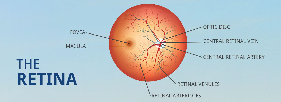 retina education Indiana